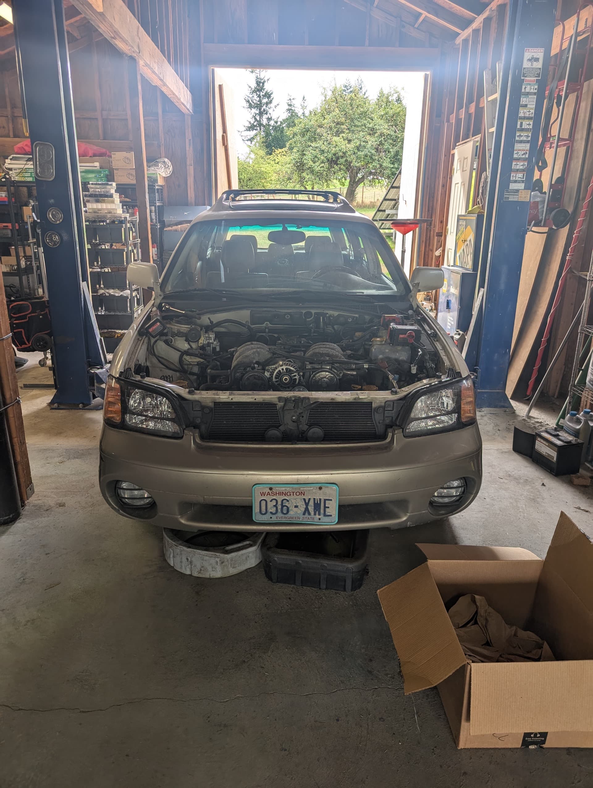 A vehicle up on the lift in the Absolute Auto Care service bay