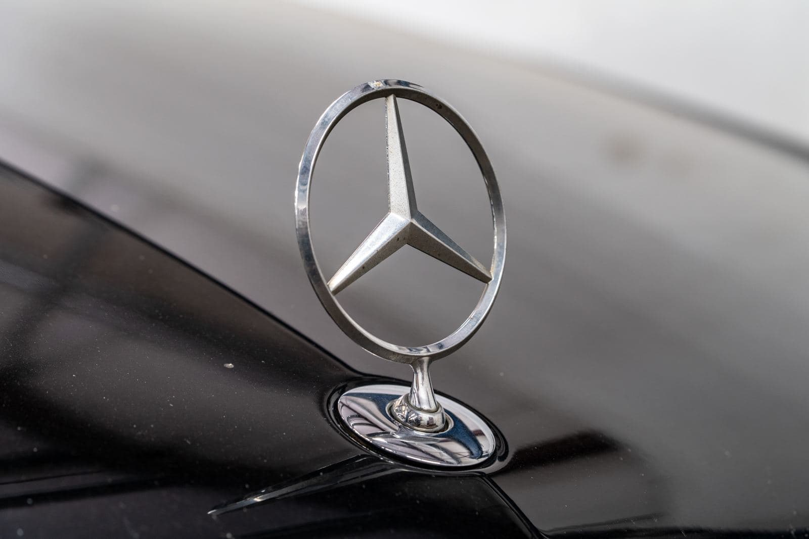Mercedes-Benz emblem and headlight detail in the shop